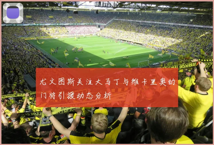 尤文图斯关注大马丁与维卡里奥的门将引援动态分析